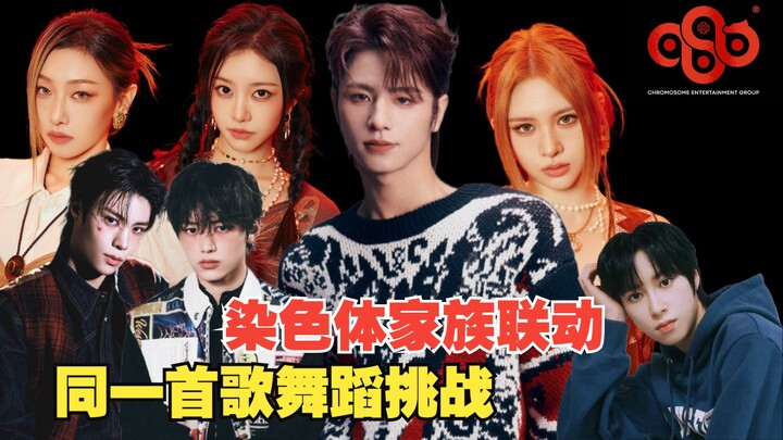 【تعاون عائلة الكروموسومات】 تفضلوا بمشاهدة رقصة "تشا" على نفس الأغنية من قبل شباب الفنانين الثقافيين—