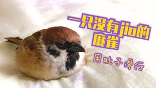 小麻雀的jiojio消失啦！！！靠肚子滑行～