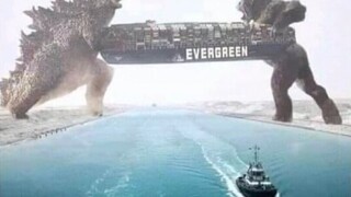 مختارات من مقاطع الفيديو الممتعة من الخارج، بعد مشاهدتها تشعر أن العالم بأكمله مليء بالبهجة! #121