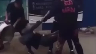 ลวงหลอกคนสัญจร โดนจับได้ ไม่ตีจนตาย ล้วนเป็นเรื่อง