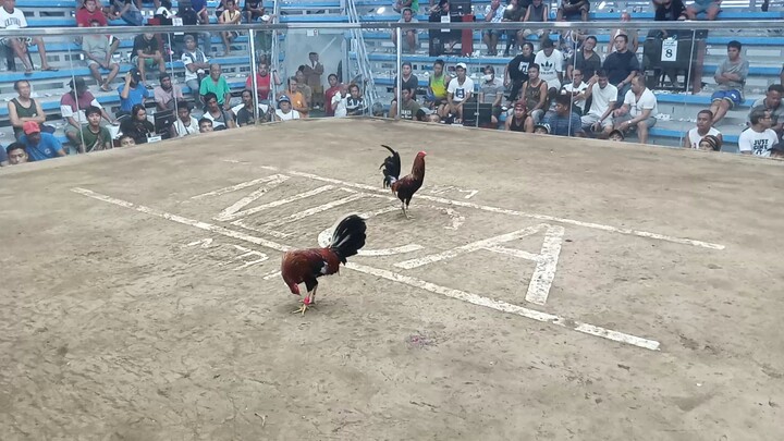 imus cavite fastest kill