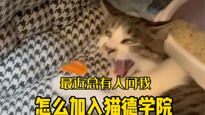 انضم إلى معهد كات ده: تثبيت الموظفين الجدد