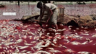 这可能是人类史上最离奇的灾难，仅仅一夜间整个尼罗河水都变成了血红