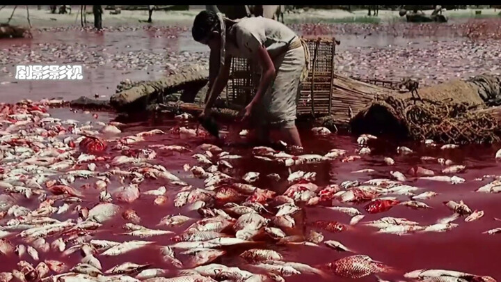 Đây có lẽ là thảm họa kỳ lạ nhất trong lịch sử nhân loại, chỉ sau một đêm toàn bộ nước sông Nile đã 