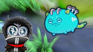What Happens When A Mobile Legends Granger Main User Plays Axie Infinity Best Backdoor Poison Build