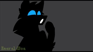 The Accident | WARRIORS PMV