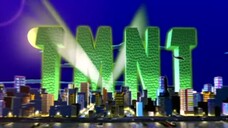 Teenage Mutant Ninja Turtles (2003) - 100 - Tales of Master Yoshi