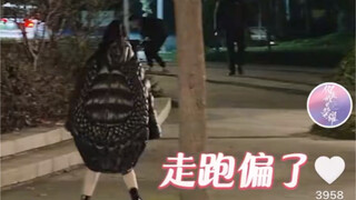 真·喜剧人·热巴