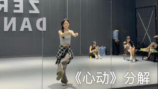 tf家族四代《心动》 分解来啦