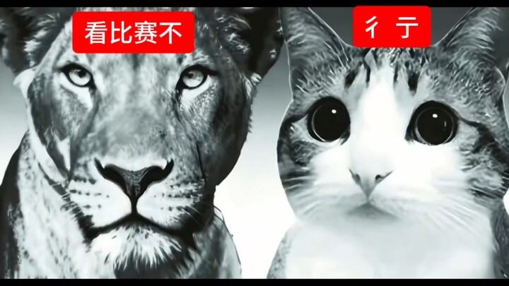 พวกที่ชอบดูแข่งอีสปอร์ตก็เป็นคู่รักซวยๆ กลุ่มหนึ่งเหมือนกัน
