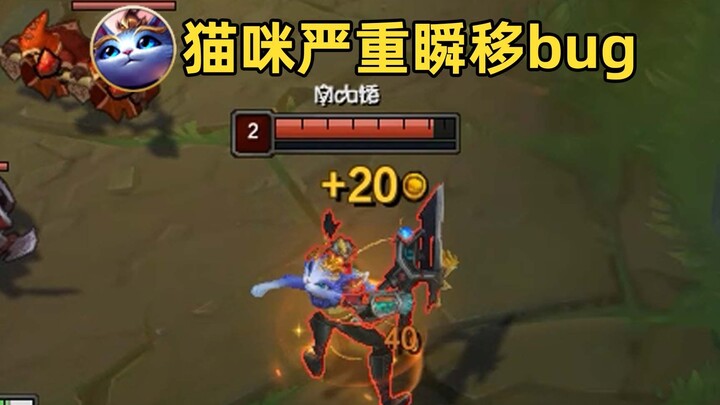 Severe cat teleportation bug: misdirection of position + frequent teleportation—some players have al