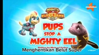 paw patrol musim 9 Episode 13 Bahasa indonesia Vision+