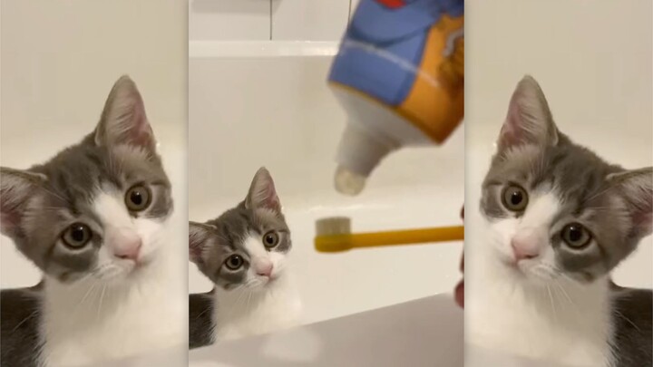 Two Cute Little Buddies Taking a Bath