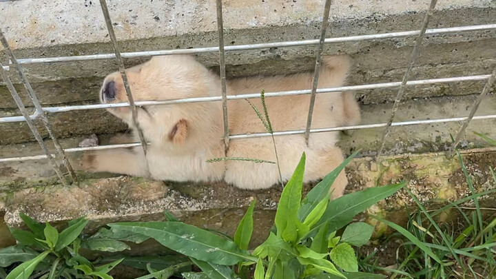 Why are you stuck here? Let’s see if you’re still being mischievous!