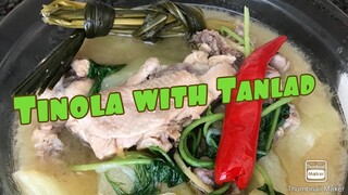 Tinola With Tanglad