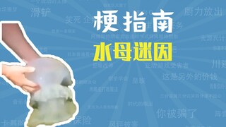 水母迷因是什么梗【梗指南】