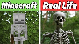 Minecraft vs Real Life | Minecraft in Real Life (animals, items, mobs)