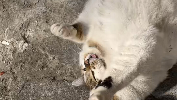 อาละวาดเพราะไข่แดงฟองเดียว