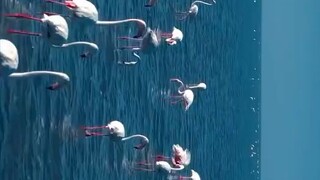 ..🎀🎀🎀💫💫💫💫