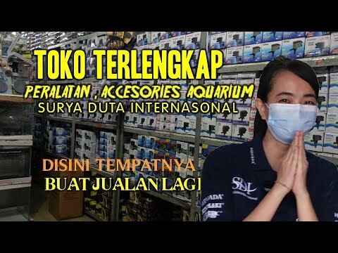 MAU BUKA USAHA JUALAN PERALATAN AQUARIUM & ACCESORIES LAINNYA BISA KESINI