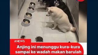 Sangat menghormati sesepuh🖤