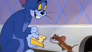 الحيوانات المختلفة التي تحول إليها توم