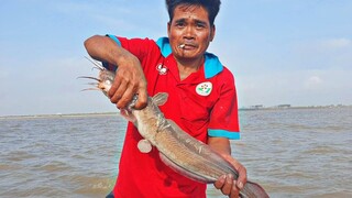Lâu rồi mới bắt trúng ''CON CÁ NÀY'' rất có giá và ngon | Ngư Dân Miền Tây