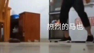 下辈子投胎成陀螺