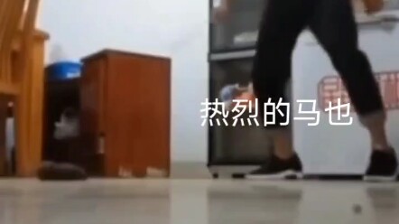 下辈子投胎成陀螺