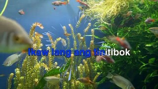Bigay ng may kapal
