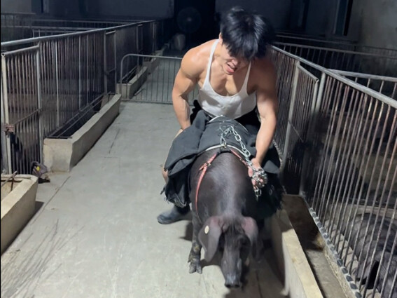 Day 19 of Fitness & Fat Loss with the Pig