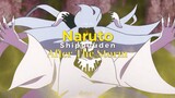 Naruto Shippuuden - After The Storm | Short AMV