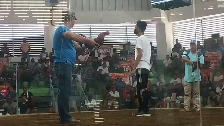 1x winner raptor sweater