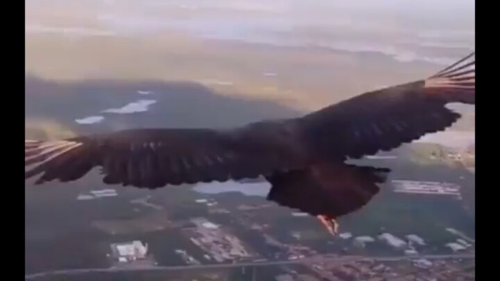 อินทรี: หนุ่มๆ ขอแจมรถหน่อยสิ!