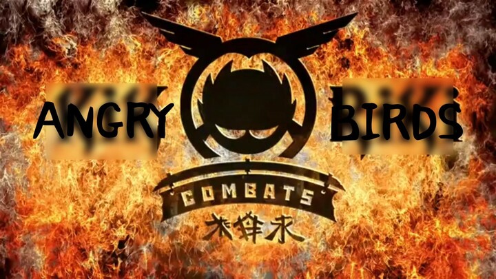 Angry Birds Combats