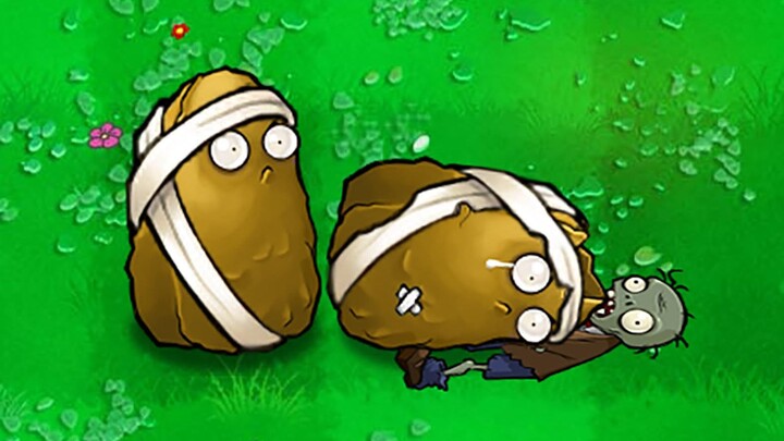 Bandage High Nuts are back!