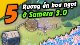 5 Rương ẩn hoa ngọt ở Sumeru 3.0 | Genshin Impact