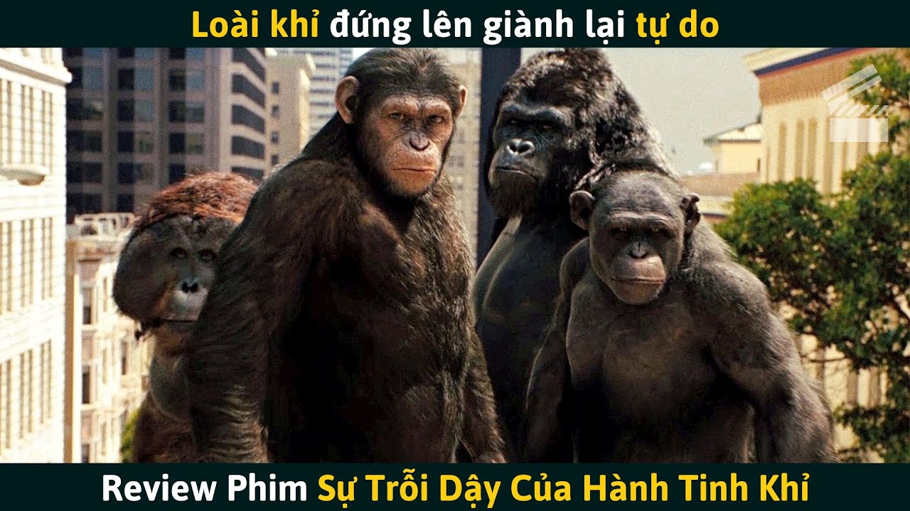 Review Phim] Khi Loài Khỉ Tiến Hóa Trỗi Dậy Chống Lại Con Người ...