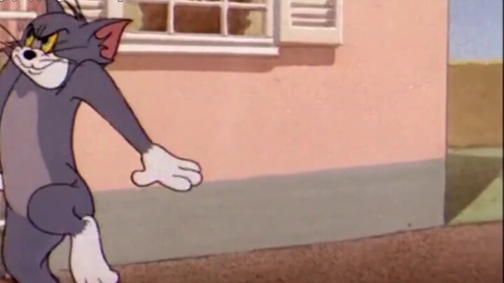 [Cat and Mouse] When a shameless up who steals videos encounters censorship at Bilibili