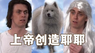 When God created the Samoyed...