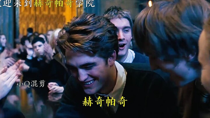 هافلباف: نتألّق في العاديّة، مجمّع بيت الظربان!