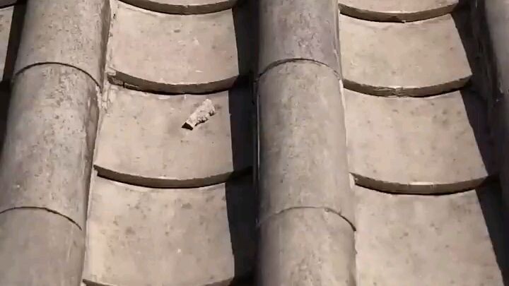 #แม่ทัพสาวข้ามมิติคว้าใจคุณชาย 卸甲后我名动京城.