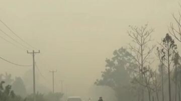kalimantan saat ini