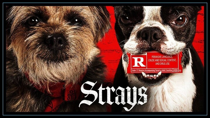 watch Full Strays [2023] 1080p [HD] : Link in Description