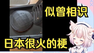 白菜科普现在日本很火的梗 这不是和白菜当年的黑炭煎饼一模一样？
