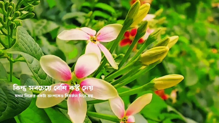 আমাদের অন্তরের কথা