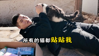 No kitten can resist me～