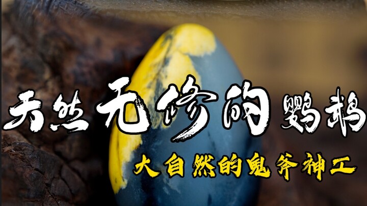 عندما كنت أمشي بسرعة، تلقيت قطعتَي قماش، وأحببتهما جدًا جدًا. الباروكة ذات الألوان الثلاثة مع الجلد 