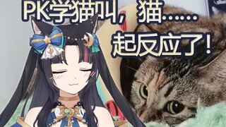 都怪主播学猫叫学得太像了！