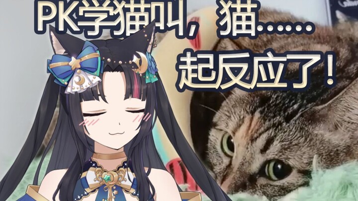都怪主播学猫叫学得太像了！